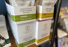 Scentral Zone - pins